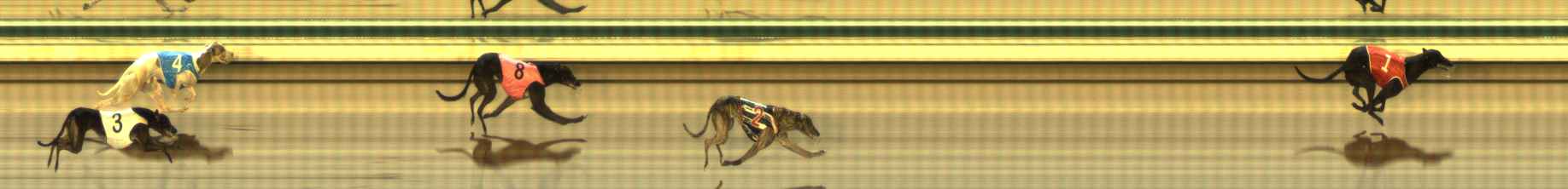 Photo finish for The Meadows Race 3