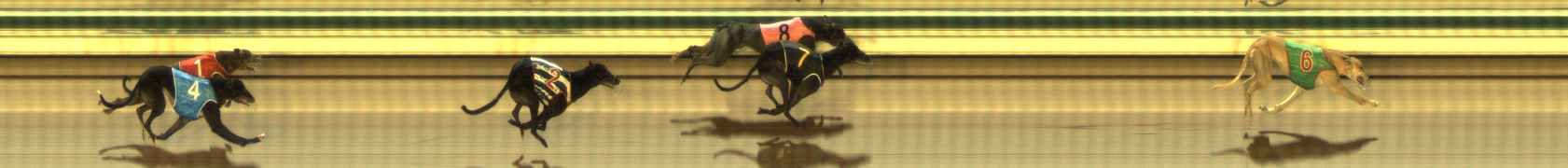 Photo finish for The Meadows Race 4