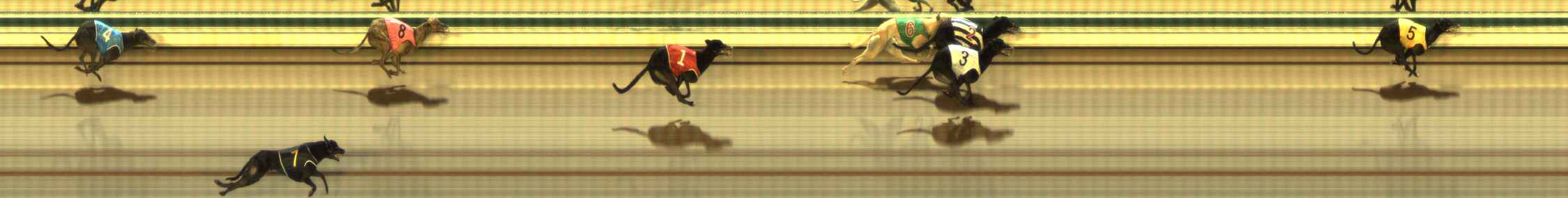 Photo finish for The Meadows Race 5