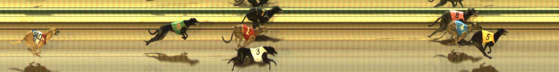 Photo finish for The Meadows Race 6