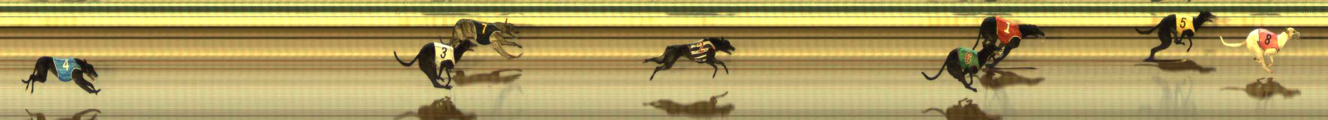 Photo finish for The Meadows Race 7