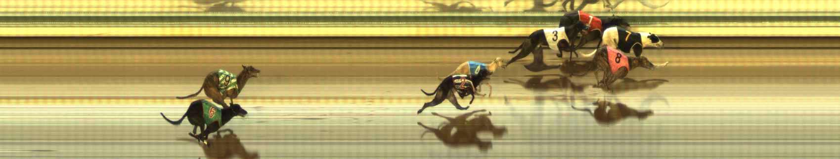 Photo finish for The Meadows Race 9
