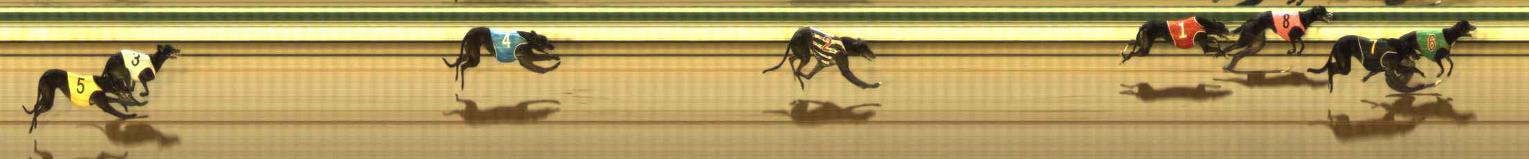 Photo finish for The Meadows Race 1