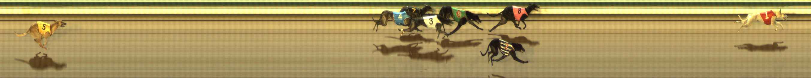 Photo finish for The Meadows Race 2