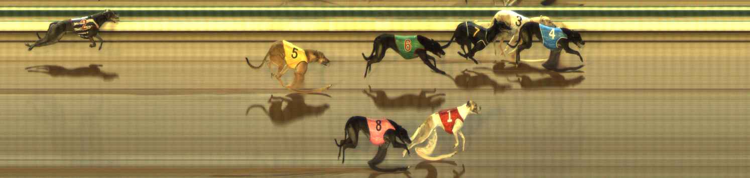 Photo finish for The Meadows Race 3