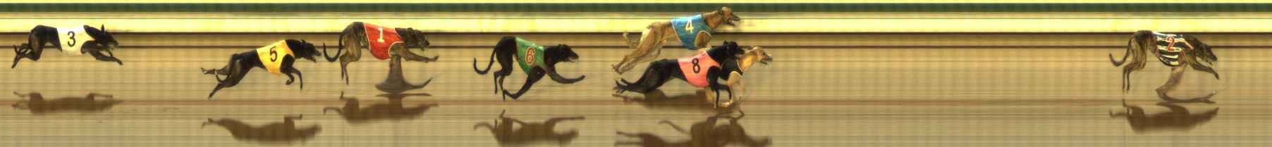 Photo finish for The Meadows Race 4