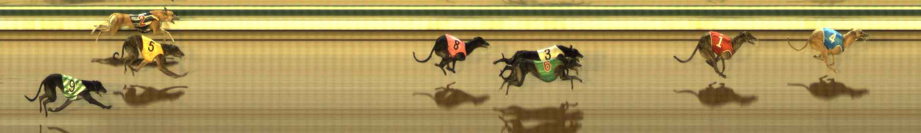 Photo finish for The Meadows Race 5