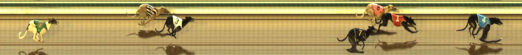 Photo finish for The Meadows Race 6