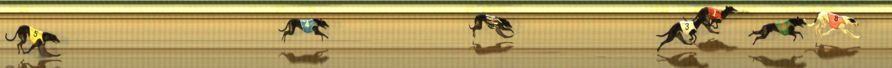 Photo finish for The Meadows Race 7