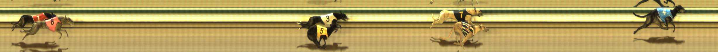 Photo finish for The Meadows Race 8