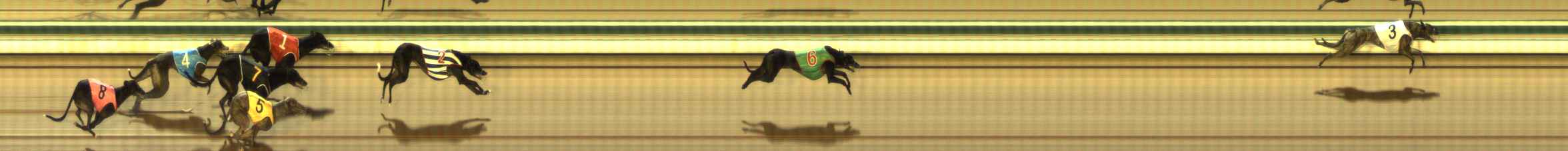 Photo finish for The Meadows Race 9