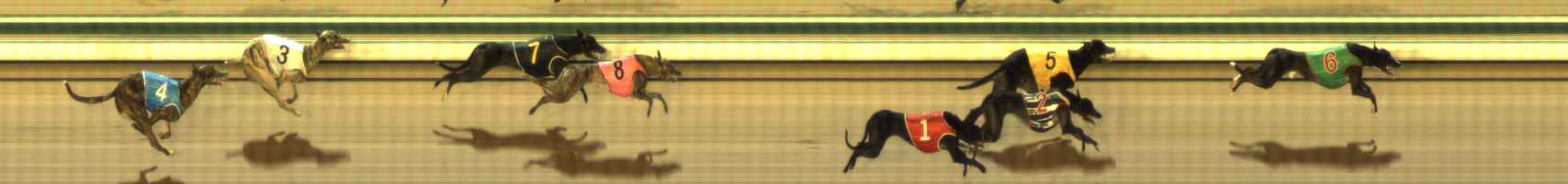 Photo finish for The Meadows Race 11