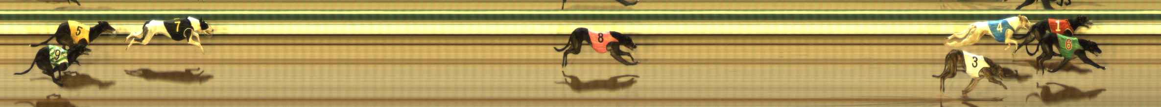 Photo finish for The Meadows Race 12