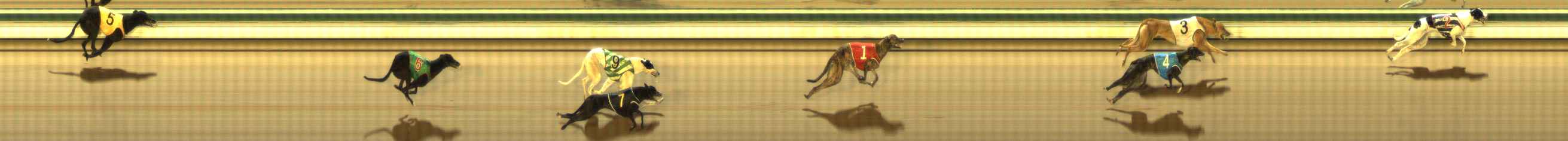 Photo finish for The Meadows Race 1