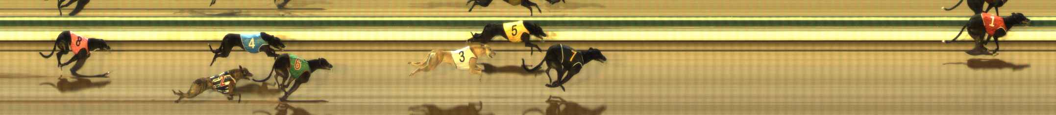 Photo finish for The Meadows Race 3
