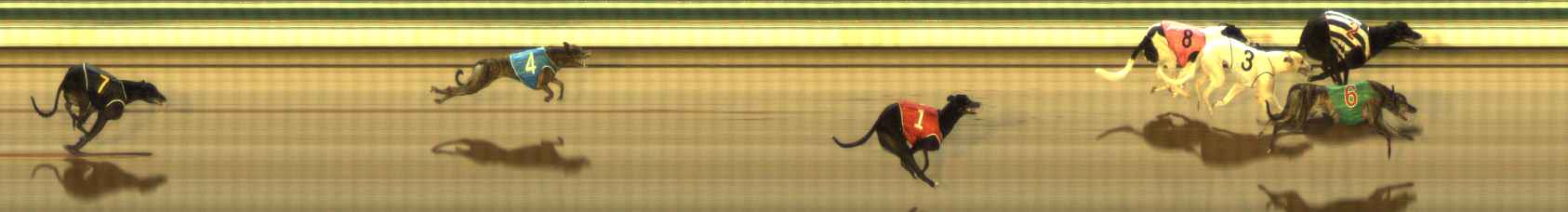 Photo finish for The Meadows Race 4