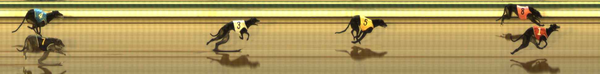 Photo finish for The Meadows Race 5