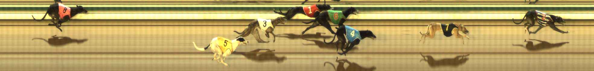 Photo finish for The Meadows Race 6