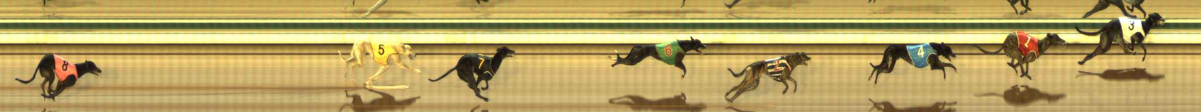 Photo finish for The Meadows Race 7