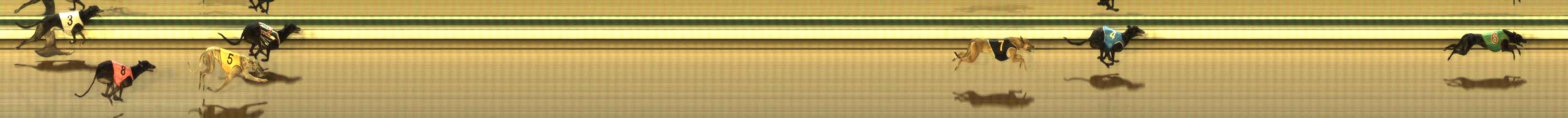 Photo finish for The Meadows Race 8