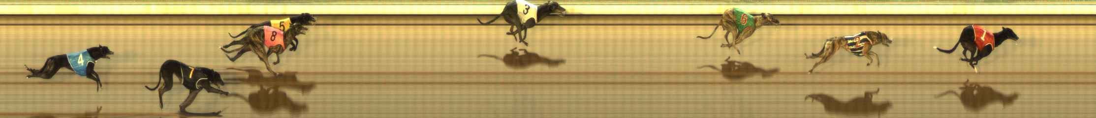 Photo finish for The Meadows Race 10