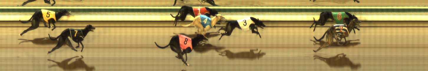 Photo finish for The Meadows Race 11