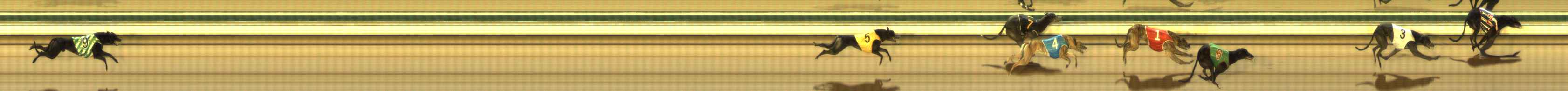 Photo finish for The Meadows Race 12