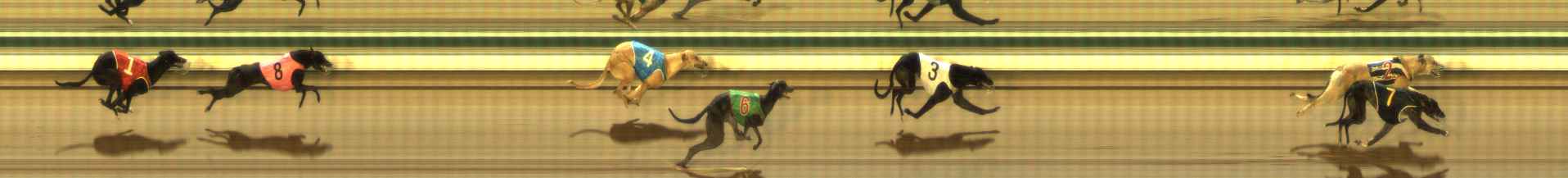 Photo finish for The Meadows Race 1