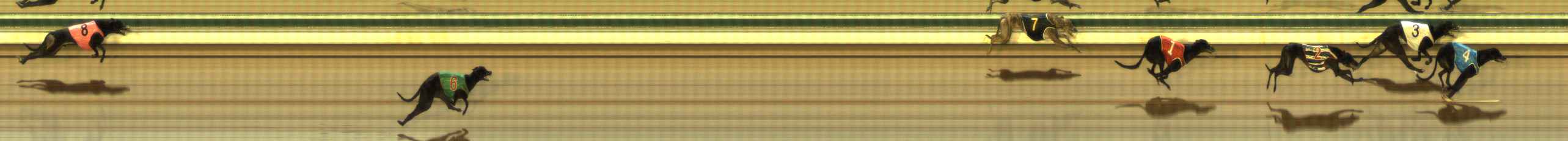 Photo finish for The Meadows Race 2