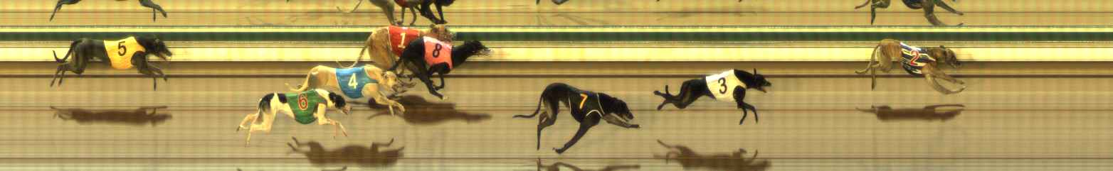 Photo finish for The Meadows Race 3