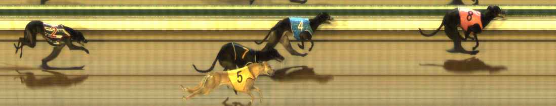 Photo finish for The Meadows Race 4