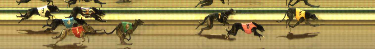 Photo finish for The Meadows Race 5