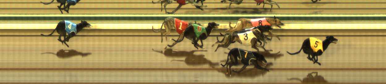 Photo finish for The Meadows Race 6