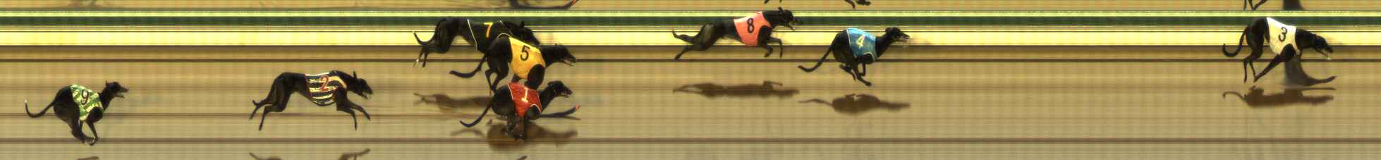 Photo finish for The Meadows Race 7