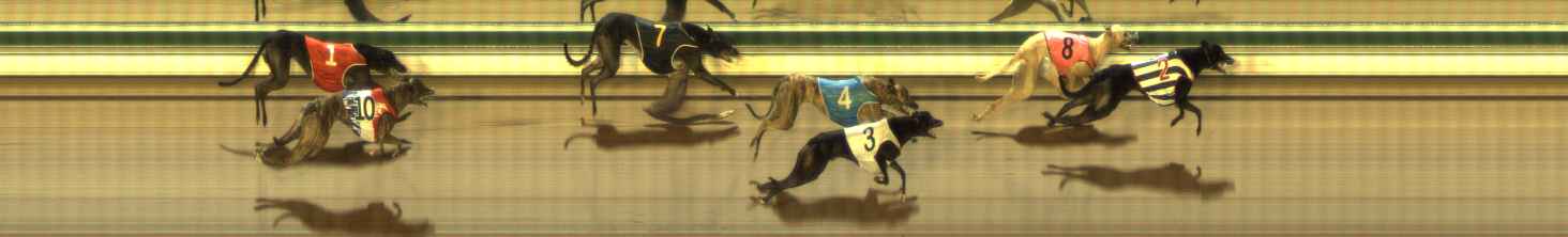 Photo finish for The Meadows Race 8