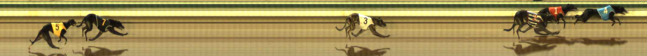 Photo finish for The Meadows Race 9