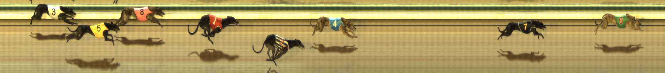 Photo finish for The Meadows Race 10