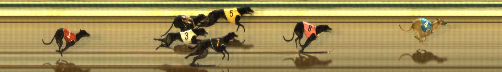 Photo finish for The Meadows Race 12