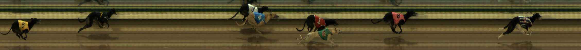 Photo finish for The Meadows Race 1