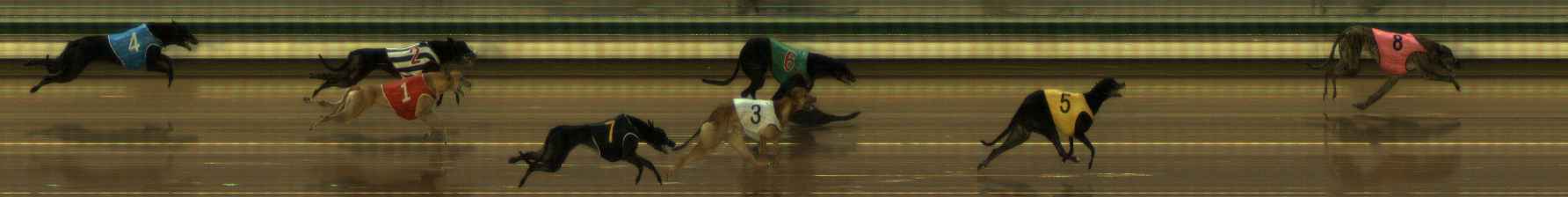 Photo finish for The Meadows Race 2