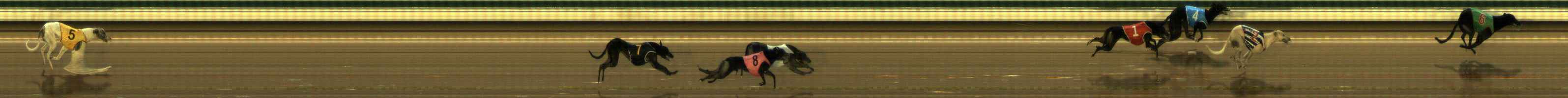 Photo finish for The Meadows Race 3