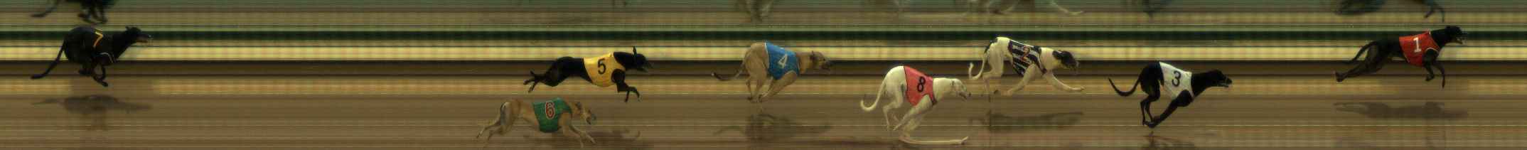 Photo finish for The Meadows Race 4