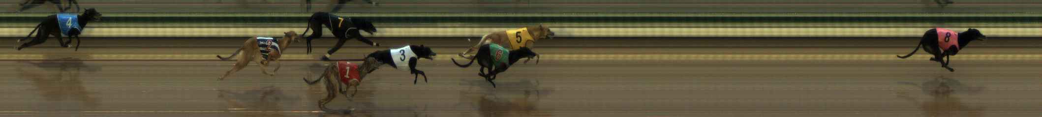 Photo finish for The Meadows Race 5