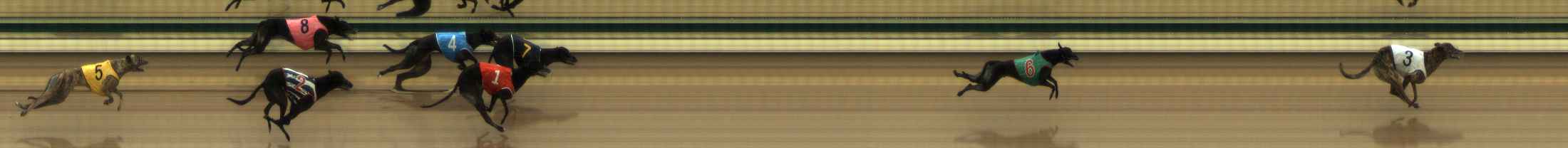 Photo finish for The Meadows Race 6
