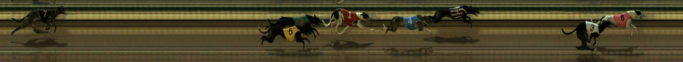 Photo finish for The Meadows Race 7