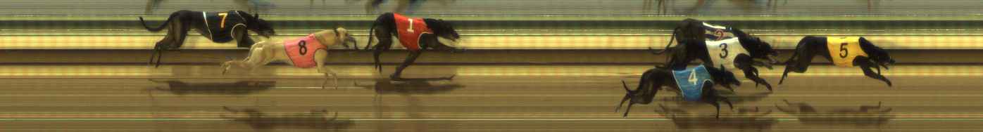 Photo finish for The Meadows Race 8