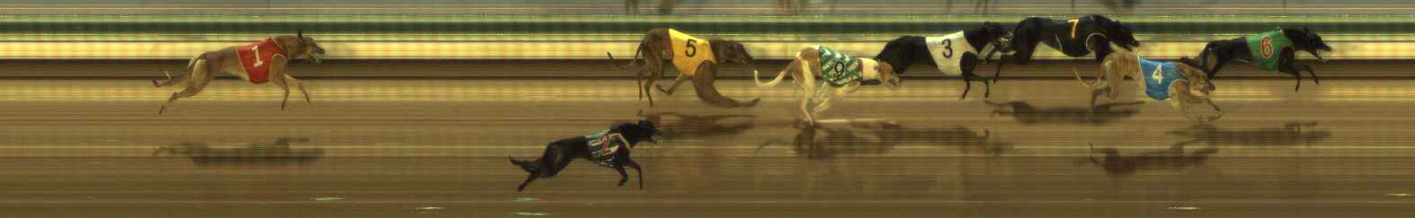 Photo finish for The Meadows Race 9