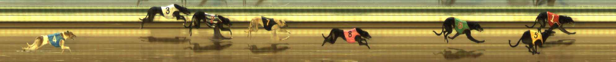 Photo finish for The Meadows Race 10