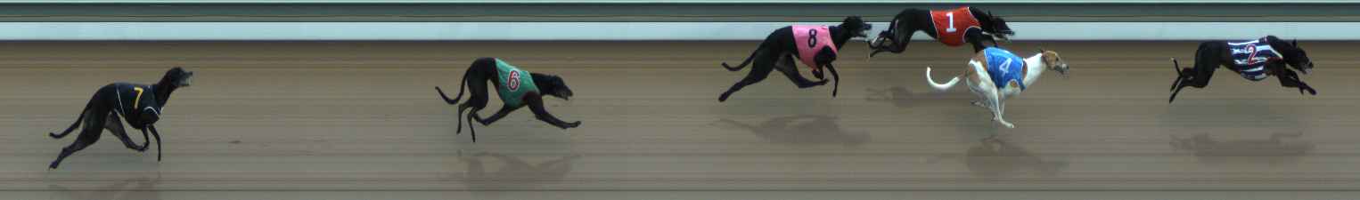Photo finish for The Meadows Race 3