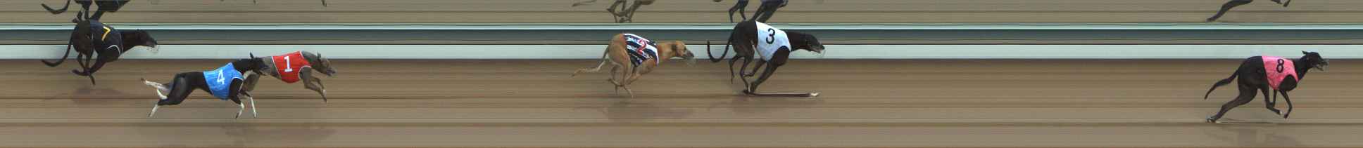 Photo finish for The Meadows Race 4